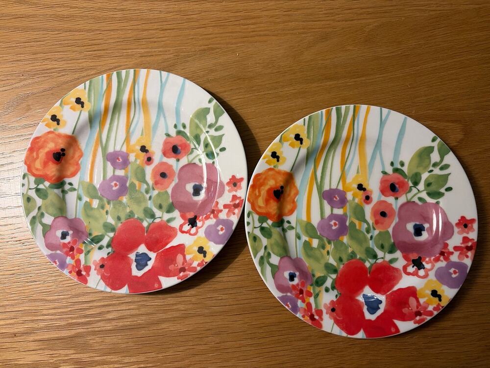 Set of 2 Anthropologie Verdant Acres 8" Salad Dessert Plates Poppy Floral Design